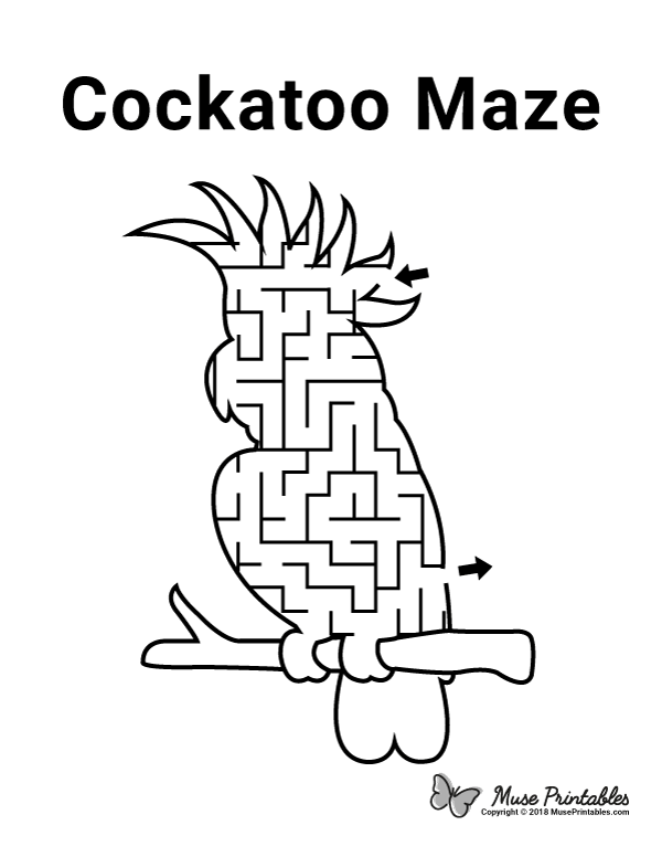 Cockatoo Maze - easy