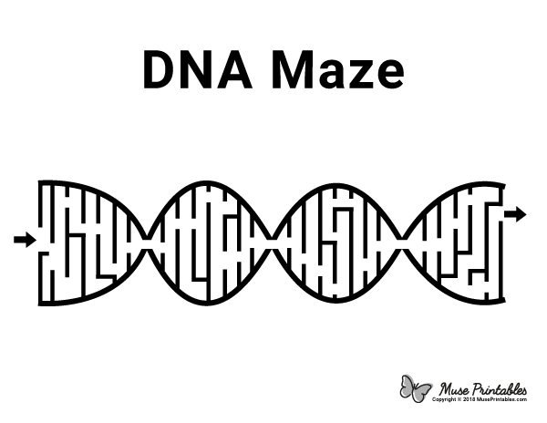 DNA Maze - easy