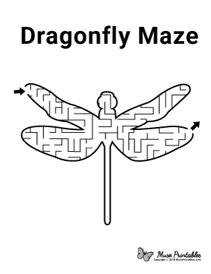 Dragonfly Maze