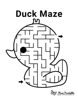 Duck Maze