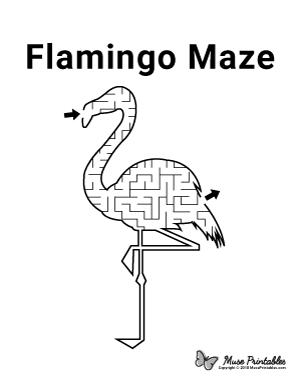Flamingo Maze