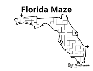 Florida Maze