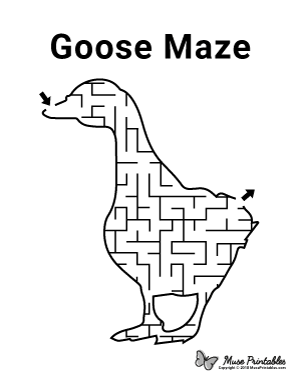 Goose Maze