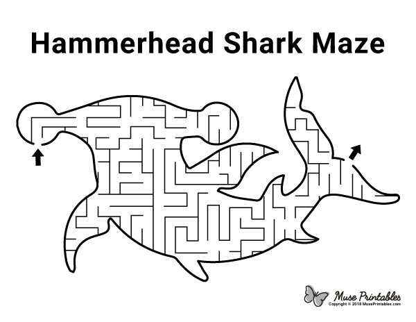 Hammerhead Shark Maze - easy