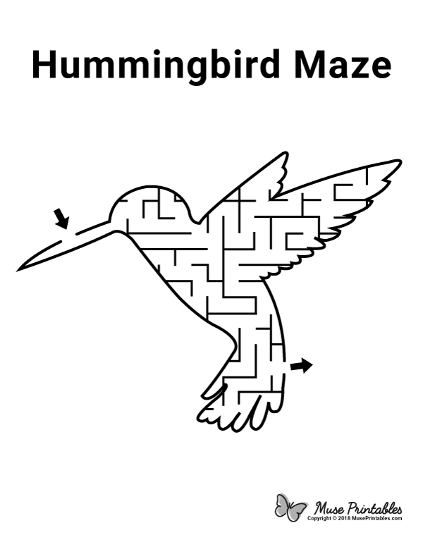 Hummingbird Maze - easy
