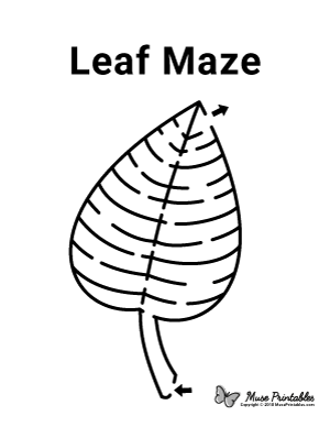Leaf Maze