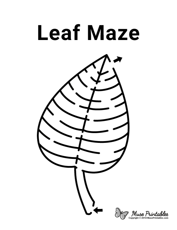Leaf Maze - easy
