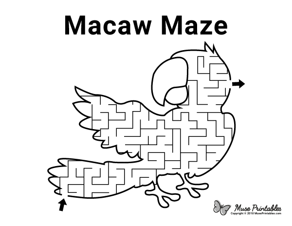 Macaw Maze - easy