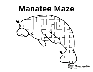 Manatee Maze