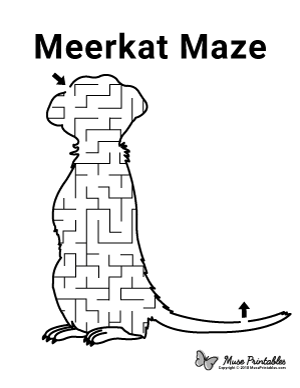 Meerkat Maze