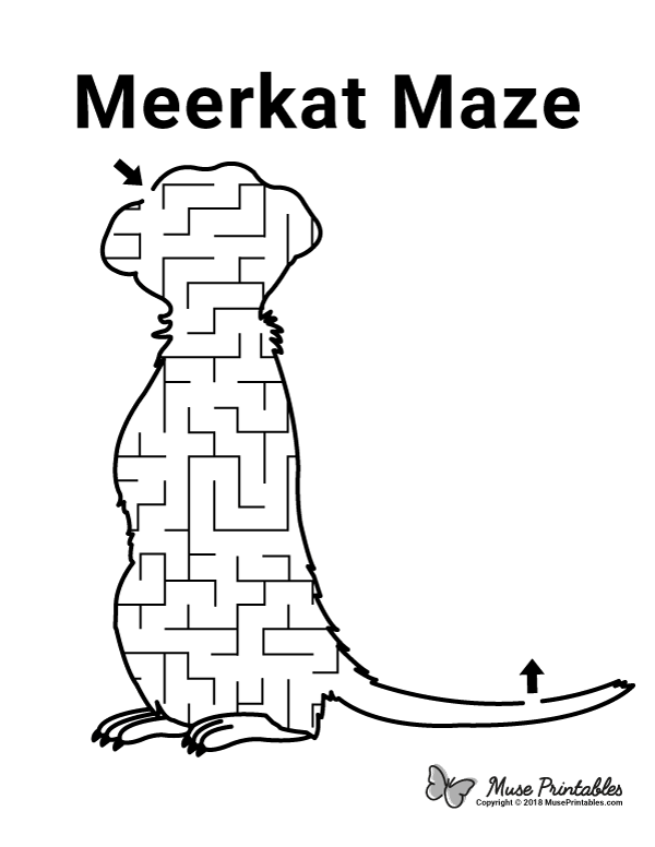 Meerkat Maze - easy