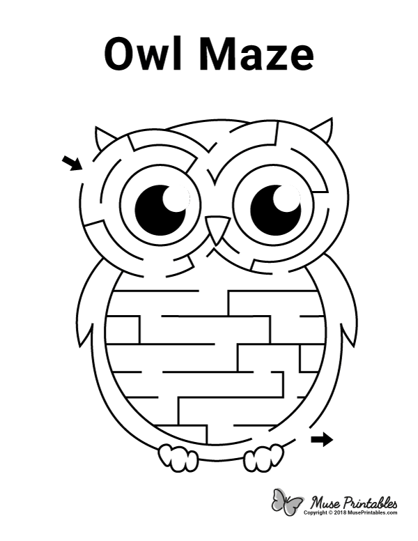 Owl Maze - easy