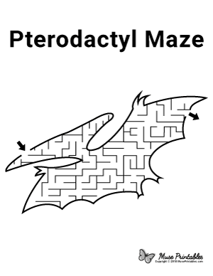 Pterodactyl Maze