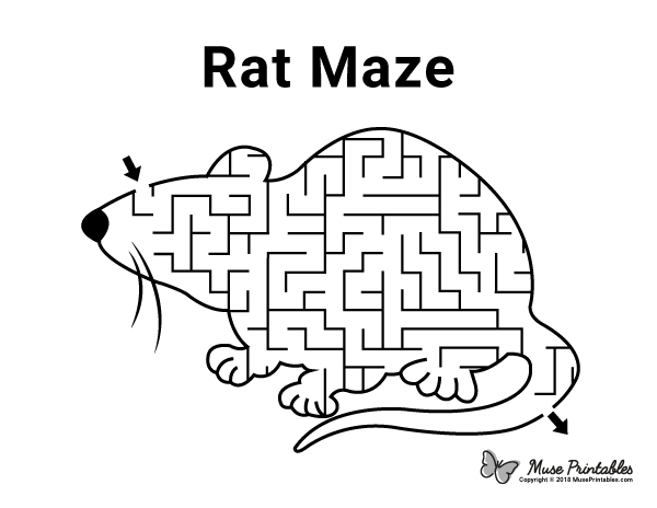 Rat Maze - easy
