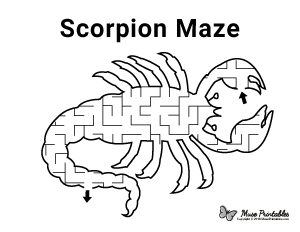 Scorpion Maze