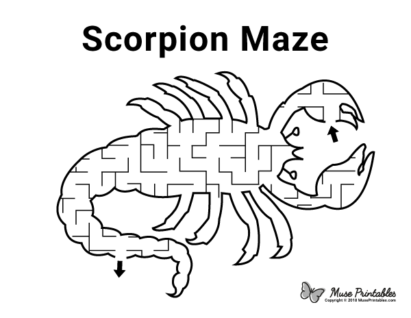 Scorpion Maze - easy
