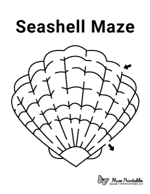 Seashell Maze