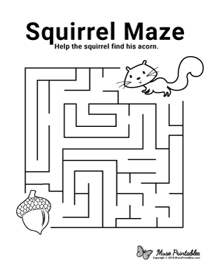 Squirrel Maze