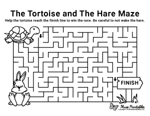 The Tortoise and the Hare Maze