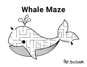Whale Maze