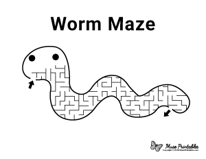 Worm Maze