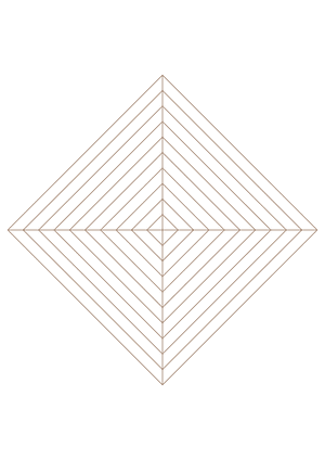 Brown Concentric Square Graph Paper  - A4