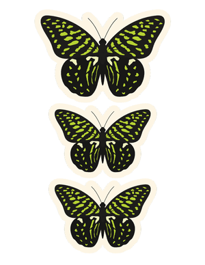 Green Butterfly Photo Booth Prop