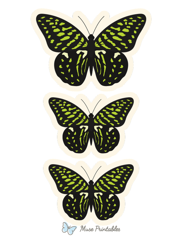 Green Butterfly Photo Booth Prop