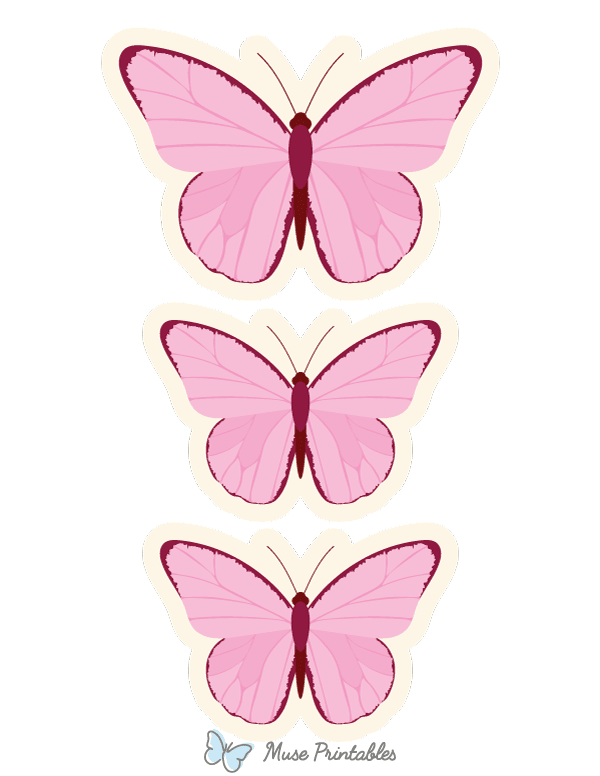 Pink Butterfly Photo Booth Prop