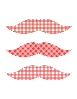 Red and White Gingham Mustache Photo Booth Prop