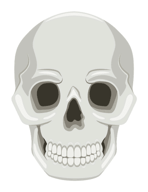 Skull Photo Booth Prop