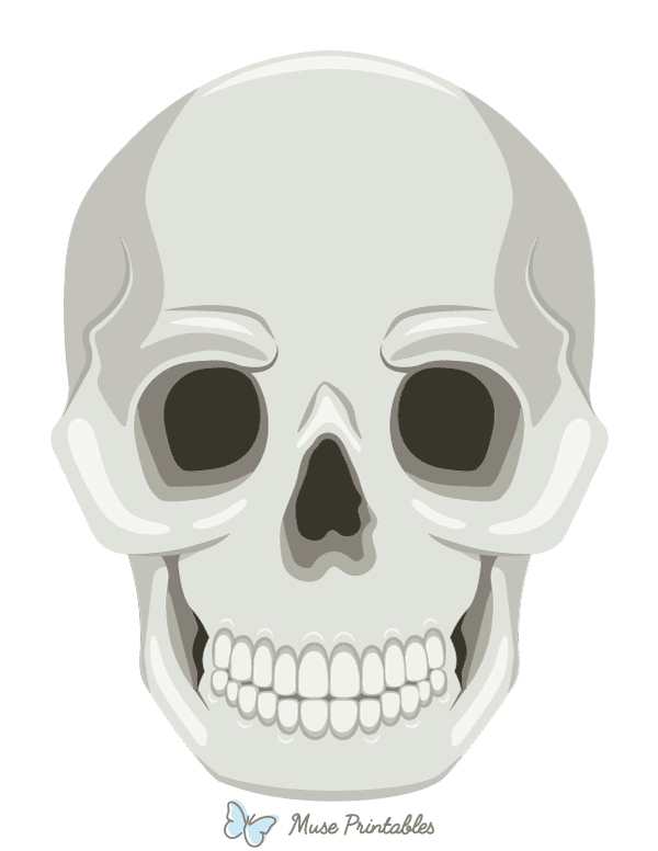 Skull Photo Booth Prop
