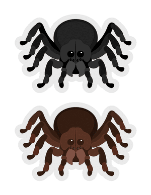 Spider Photo Booth Prop