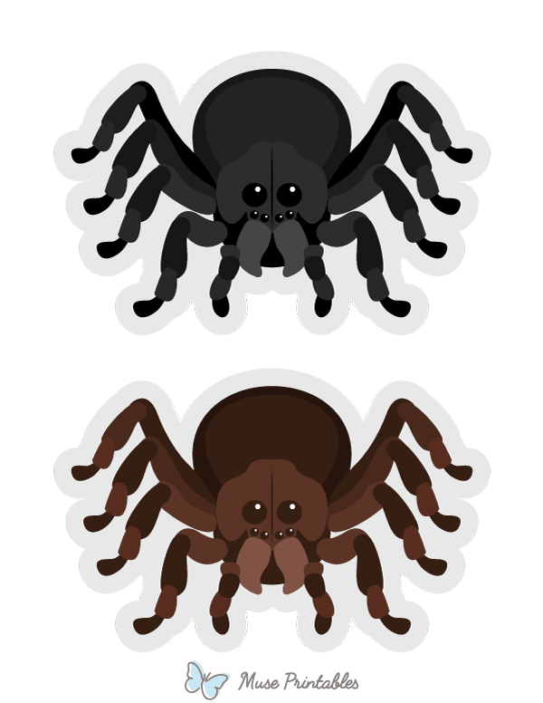 Spider Photo Booth Prop