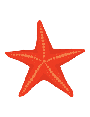 Starfish Photo Booth Prop