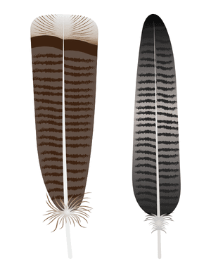 Turkey Feathers Photo Booth Prop