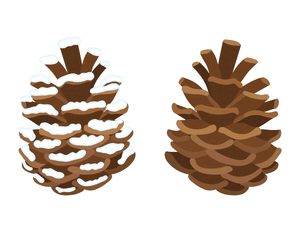 Winter Pine Cone Photo Booth Prop