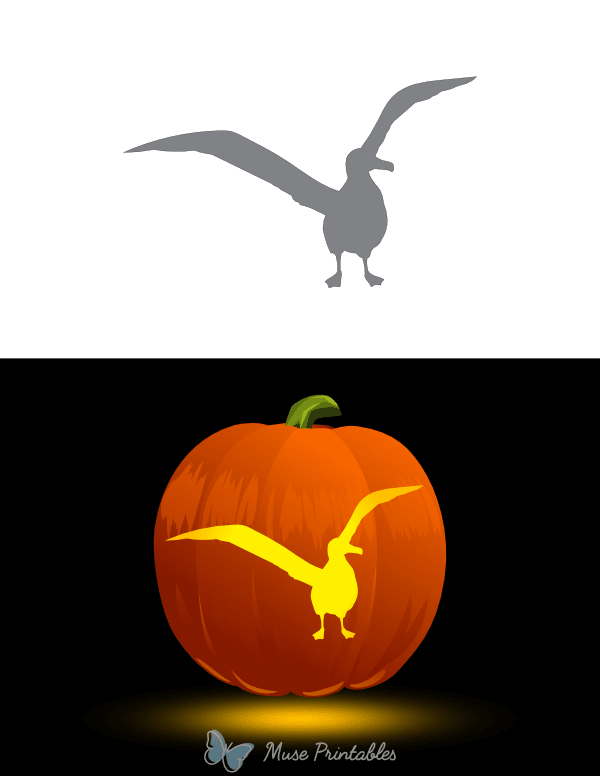 Albatross Outline Pumpkin Stencil