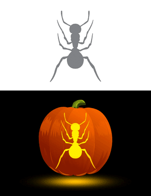 Ant Top Down Pumpkin Stencil