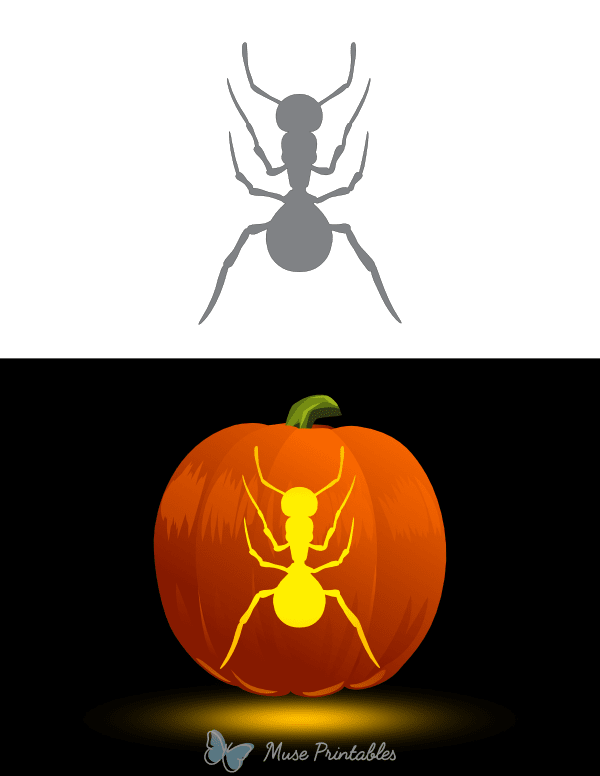 Ant Top Down Pumpkin Stencil