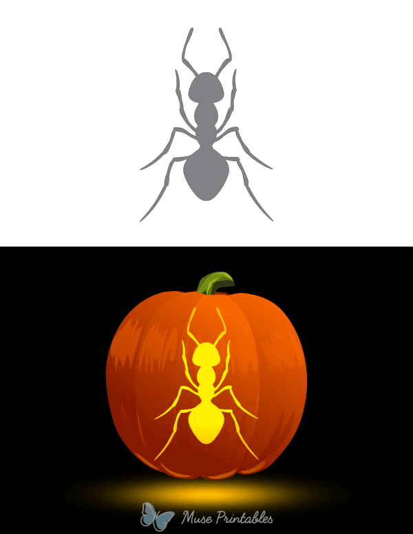 Ant Top Down View Pumpkin Stencil