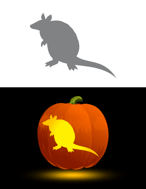 Armadillo Outline Pumpkin Stencil