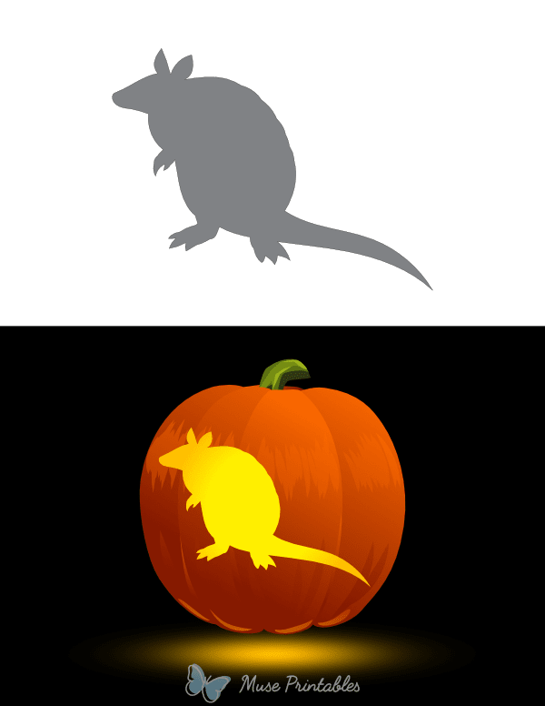 Armadillo Outline Pumpkin Stencil