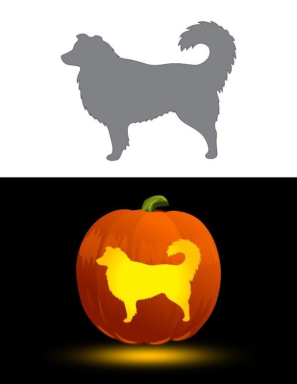 Australian Shepherd Pumpkin Stencil