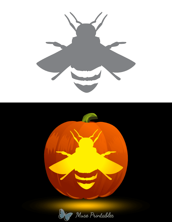 Bee Overhead View Pumpkin Stencil