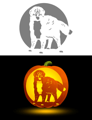 Bernese Mountain Dog Pumpkin Stencil