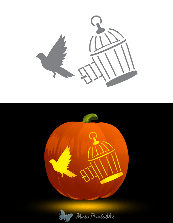 Bird Flying Out of a Cage Pumpkin Stencil