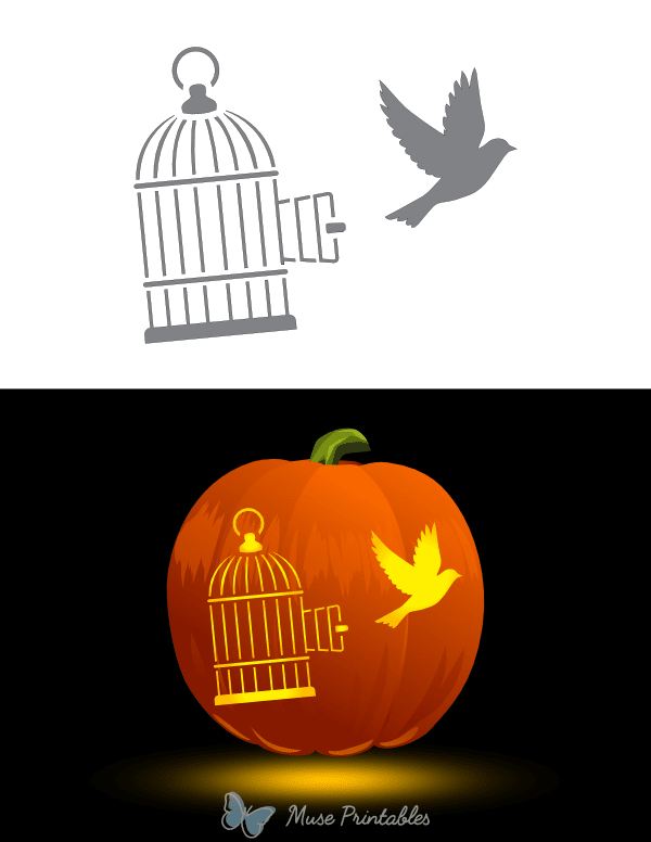 Bird Flying Out of Cage Pumpkin Stencil