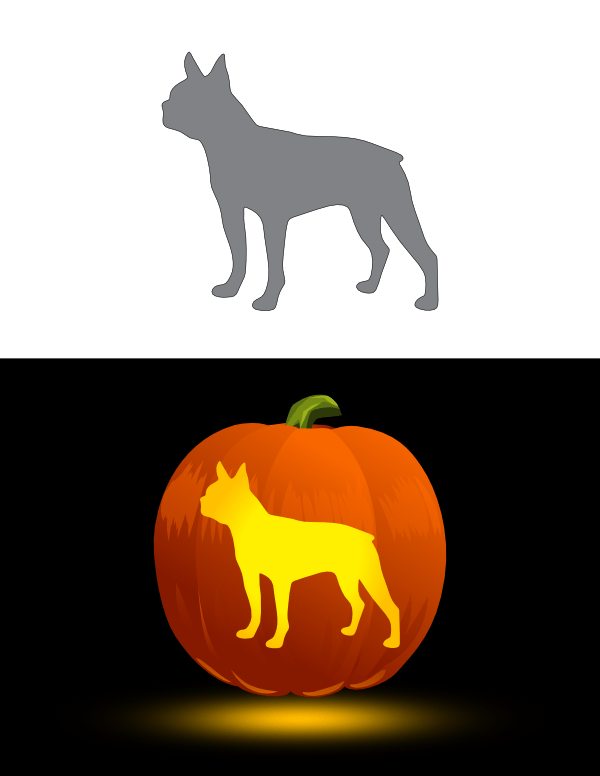Printable Boston Terrier Pumpkin Stencil