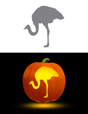 Bowing Ostrich Pumpkin Stencil